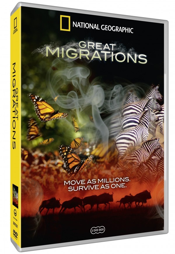 National Geographic: Great Migration