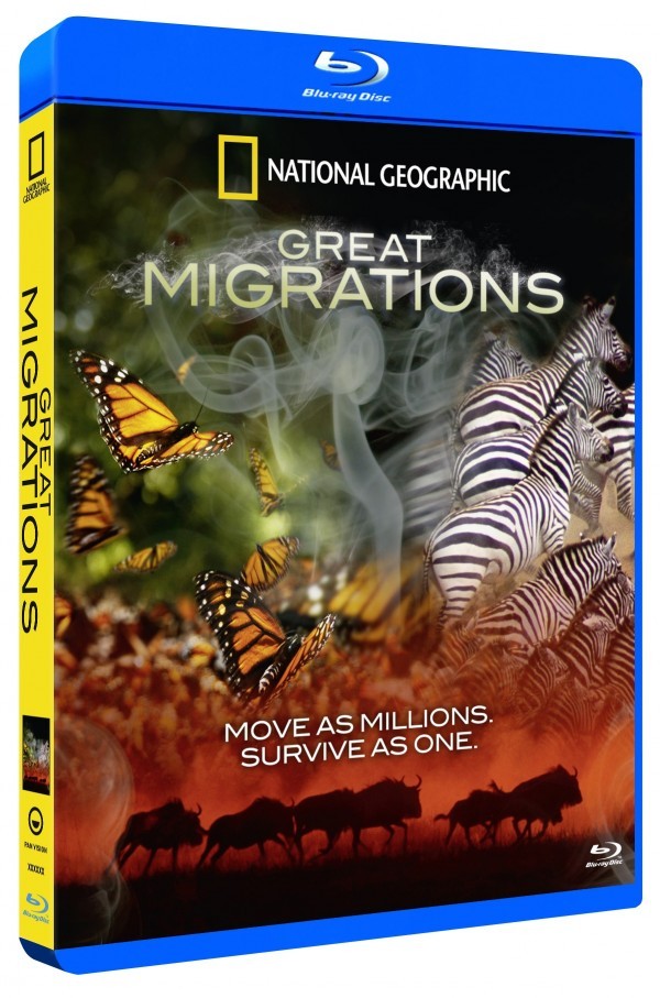 Køb National Geographic: Great Migration