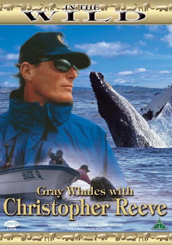 Køb In The Wild:  Grey Whales with Christopher Reeve