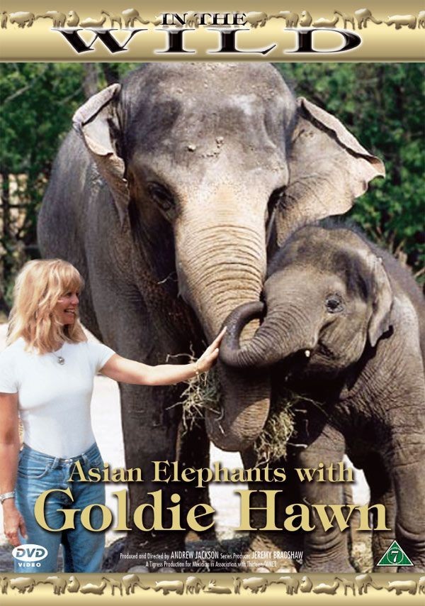 Køb In The Wild: - Asian Elephants with Goldie Hawn