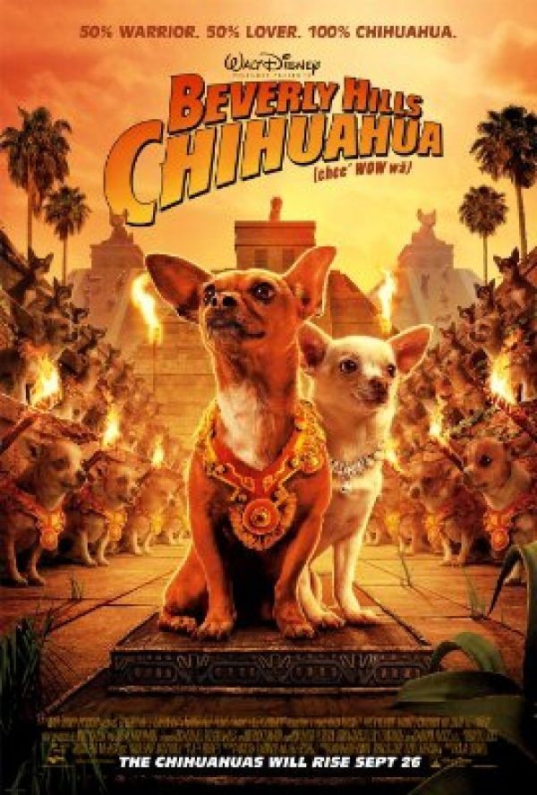 Køb Beverly Hills Chihuahua