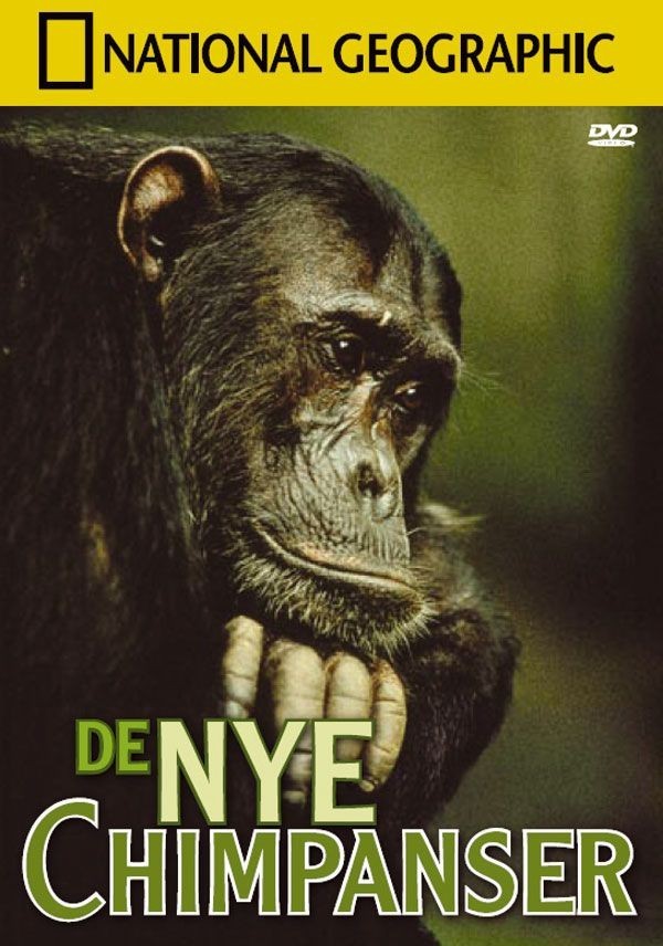 National Geographic: De nye Chimp