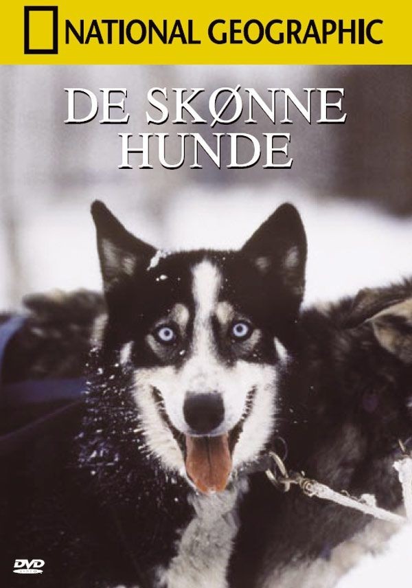 Køb National Geo, De Skønne Hunde