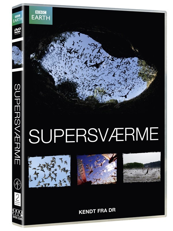 Supersværme