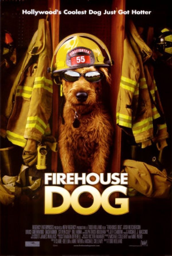 Firehouse Dog