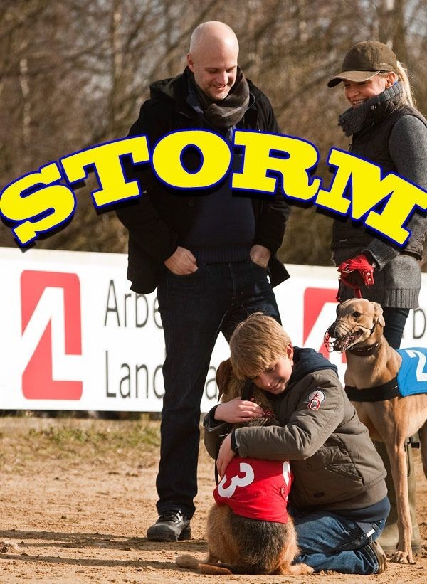 Køb Storm DK